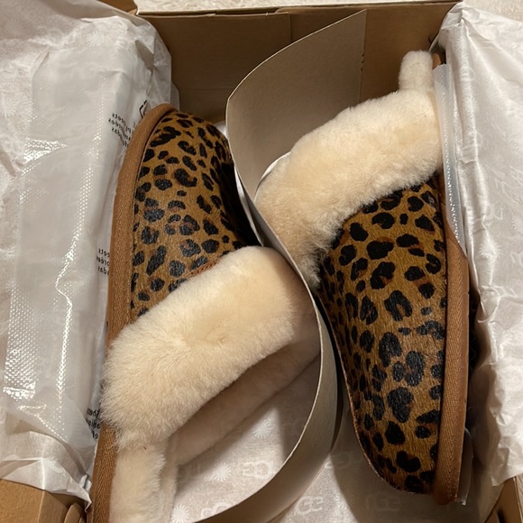 UGG Shoes - NEVER USED NEED TO SELL Brand New UGG Slippers!